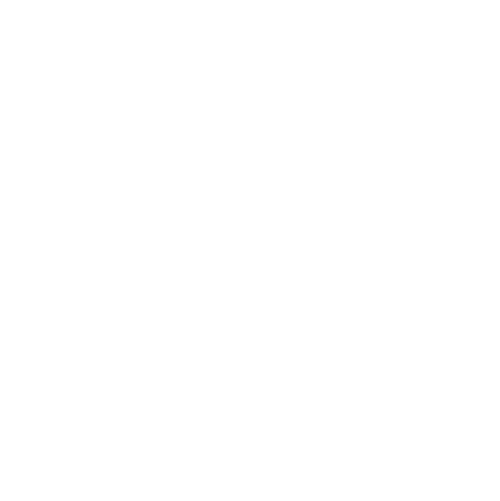 IN REN Equality Toolkit